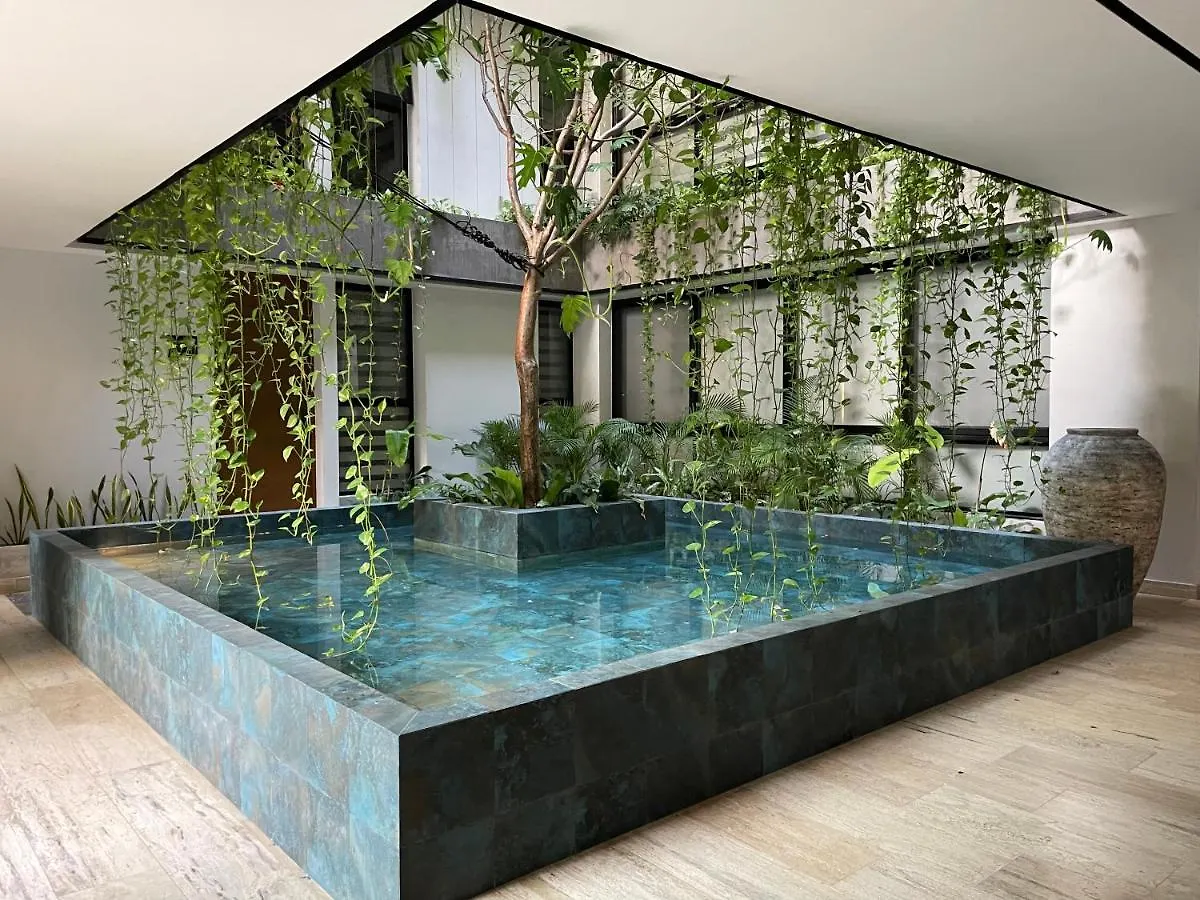 신데 델 카르멘 Centrico Departamento A Pocos Pasos De La Playa 아파트